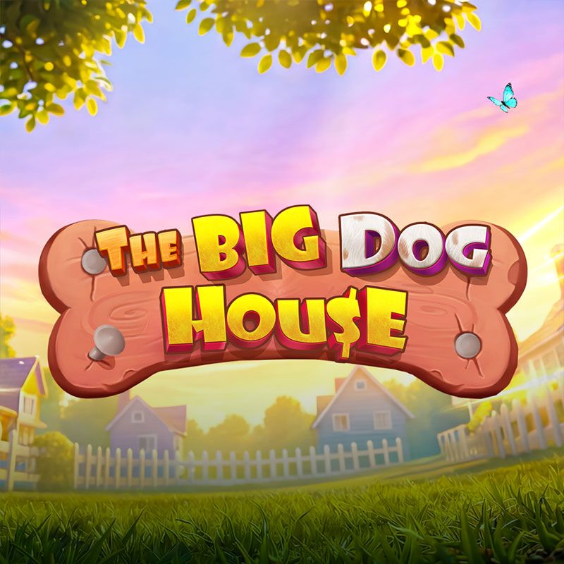 The Big Dog House